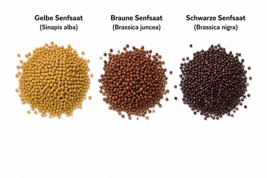 gelbe, braune und schwarze Senfsaat