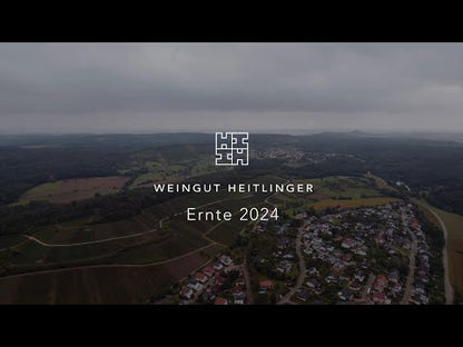 Heitlinger Weingut Ernte 2024